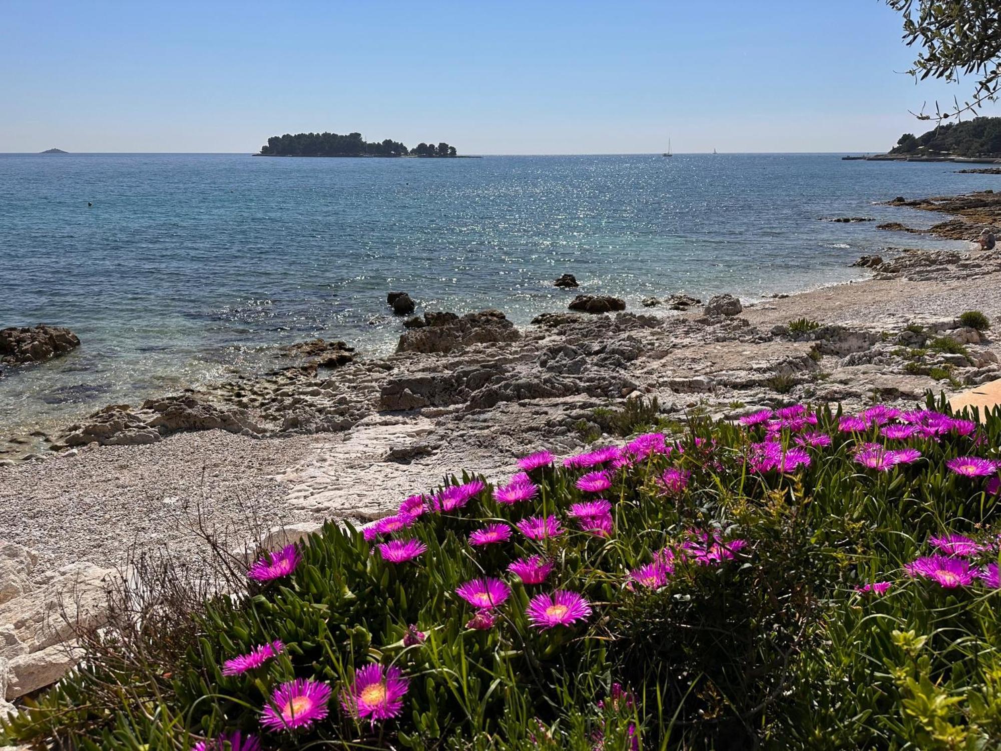 Villa Anthony Rovinj Exterior foto